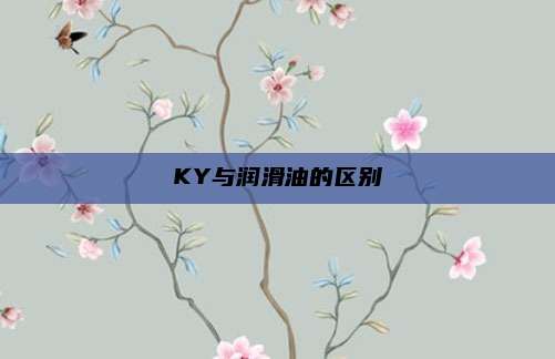 KY与润滑油的区别
