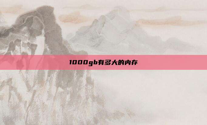 1000gb有多大的内存