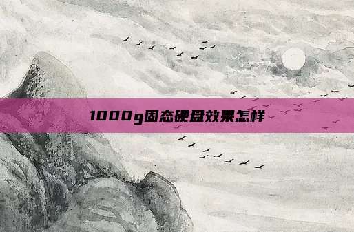 1000g固态硬盘效果怎样